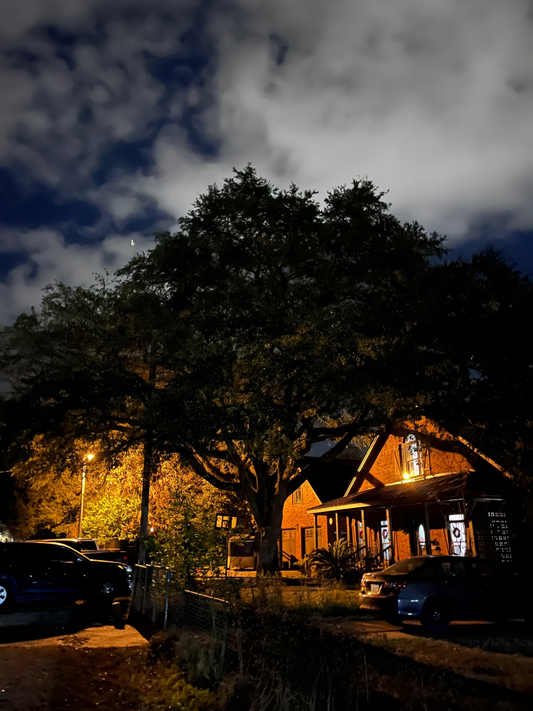 Haven Under Starlit Shadows